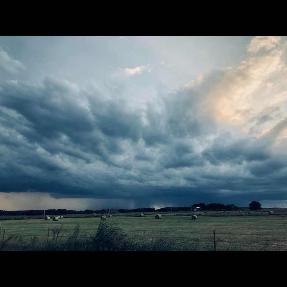 Meet your Posher, Chalisa